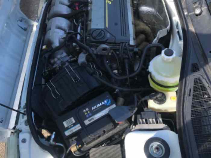 Clio Williams grn 3
