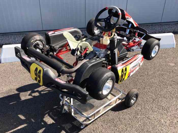 For sale Parolin Mini karting Rotax Micro very good condition 4