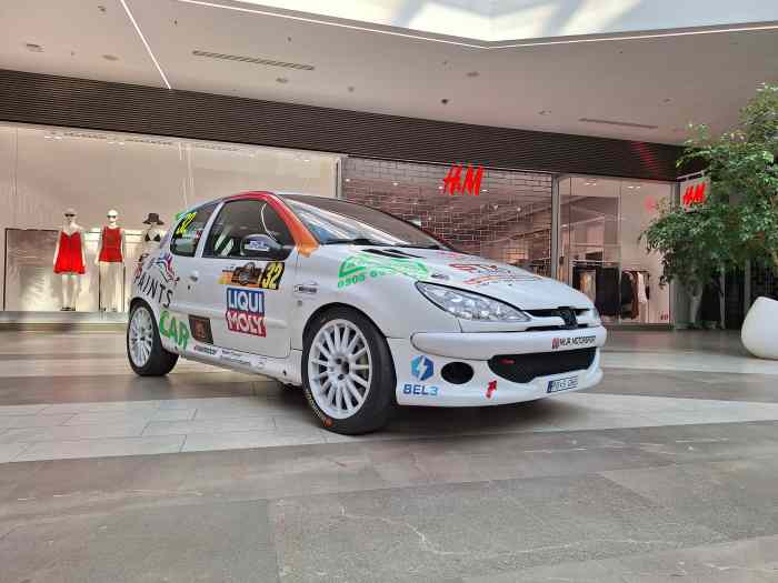 Peugeot 206 RC Gr.A 2