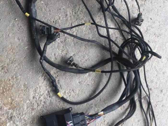 Vend boîtier + faisceau erace black pour moteur xu10j4rs