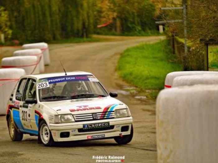 205 rallye grn