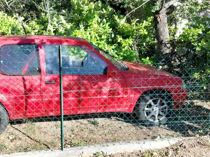 Vend Peugeot 205 2