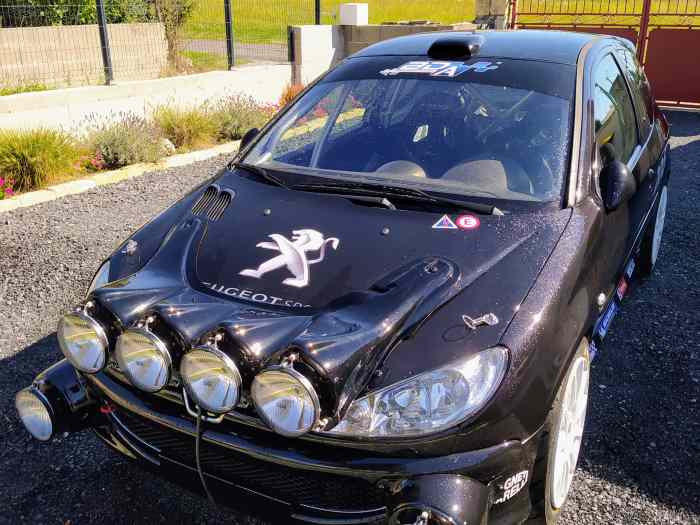Peugeot 206 RC GR.A 1