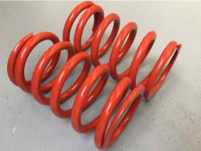 PEUGEOT 207 R3T RC/RALLYE SPRINGS pièces et voitures de course à