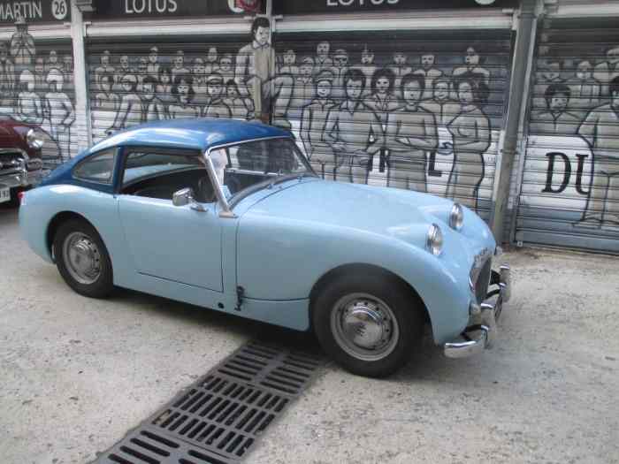 AUSTIN HEALEY frog eye ( Ashley ) 0