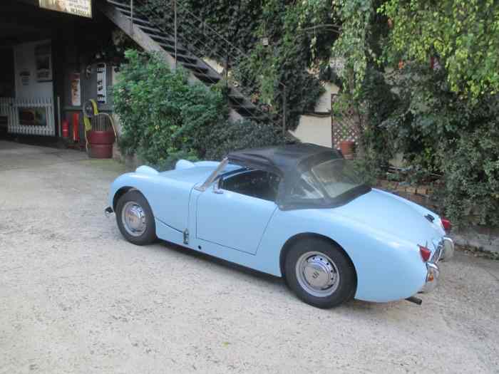 AUSTIN HEALEY frog eye ( Ashley ) 2