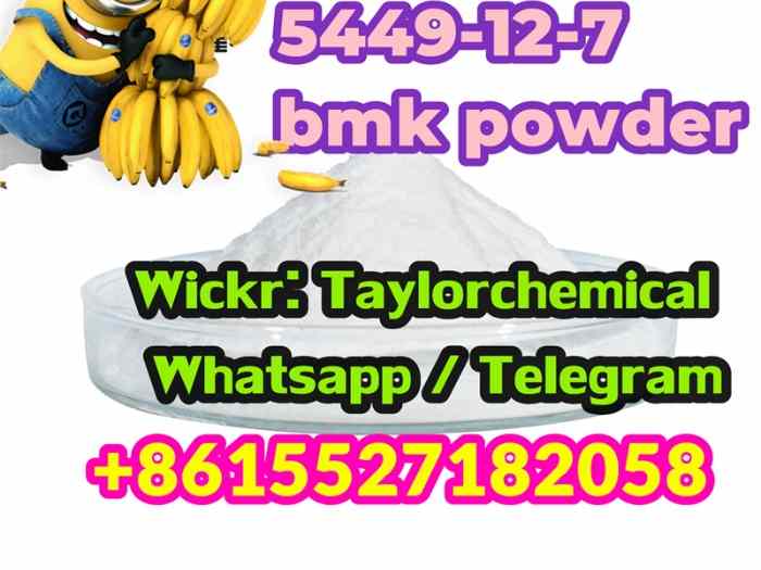 5449-12-7 bmk powder 2