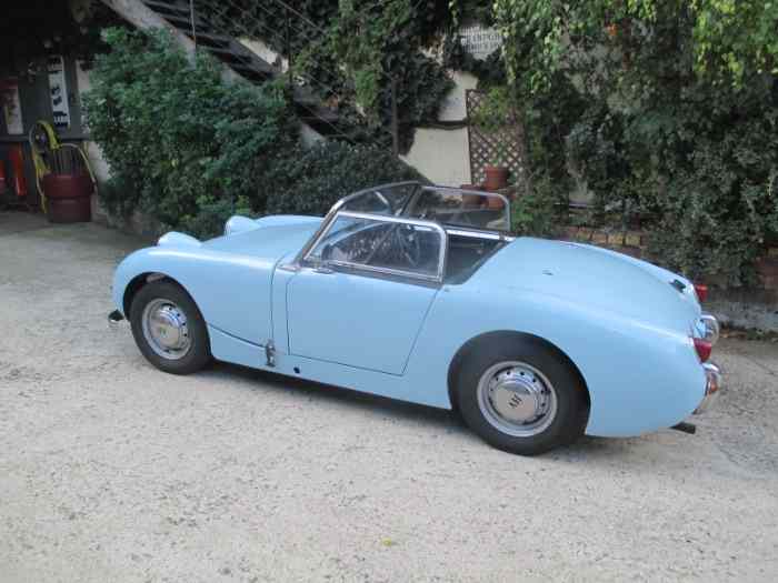 AUSTIN HEALEY frog eye ( Ashley ) 3