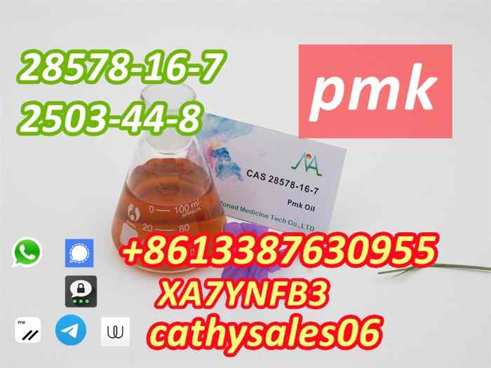 PMK powder / pmk wax Cas 28578-16-7 with best price Threema:XA7YNFB3 0