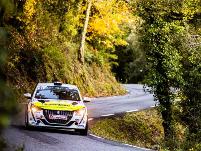 Peugeot 208 Rally4