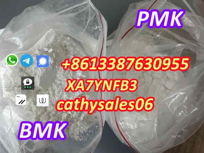 PMK powder / pmk wax Cas 28578-16-7 with best price Threema:XA7YNFB3 1