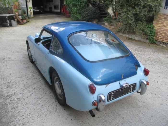 AUSTIN HEALEY frog eye ( Ashley ) 1