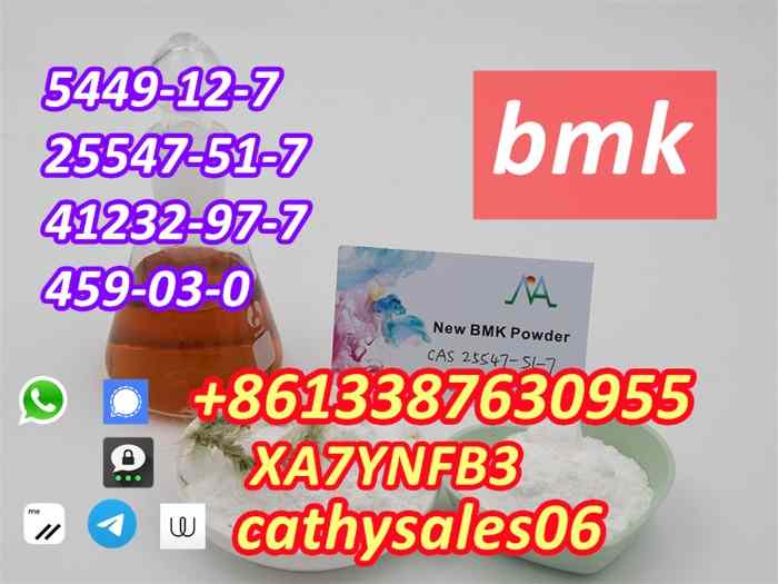 New BMK powder 5449-12-7 1