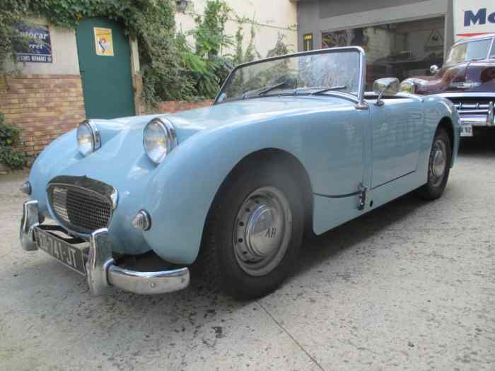 AUSTIN HEALEY frog eye ( Ashley ) 4