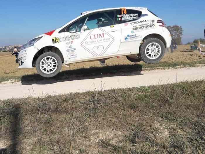 Jante EVO Corse Sanremo 6x15 Peugeot 208 R2B 2