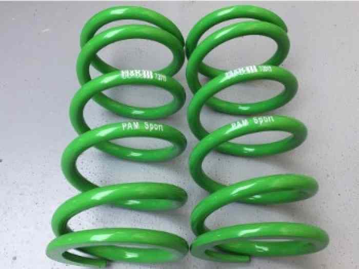 PEUGEOT 207 R3T RC/RALLYE SPRINGS pièces et voitures de course à