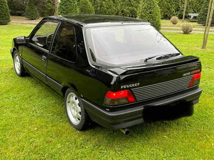 Peugeot 309 GTI 16S 1