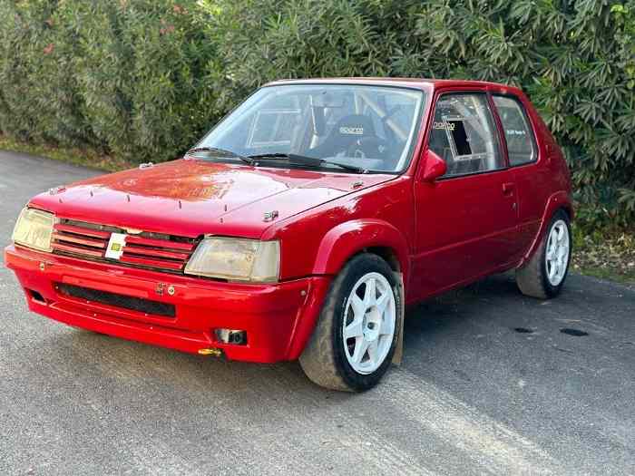 Peugeot 205 rallye f2012