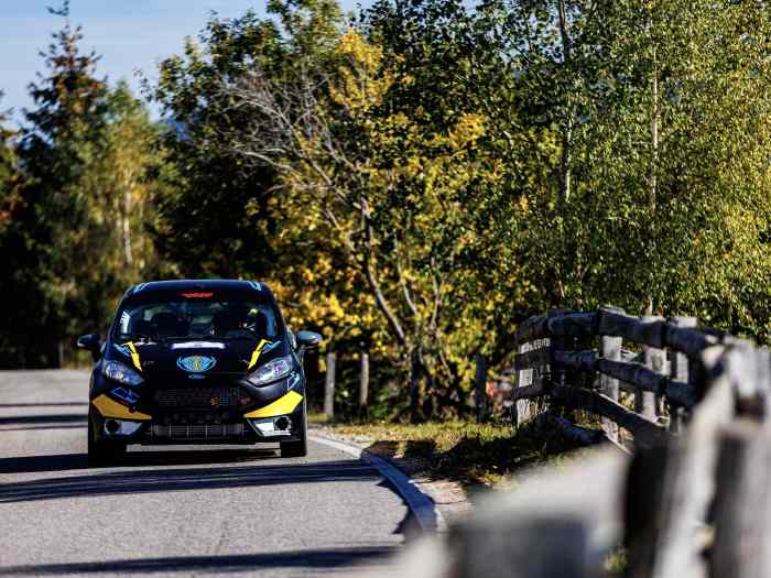 Ford Fiesta ST hill climb