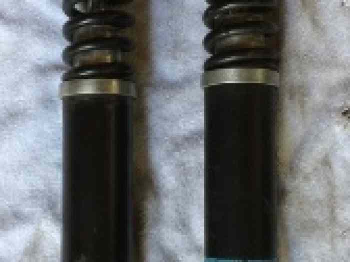 Amortisseurs Clio 2 CUP