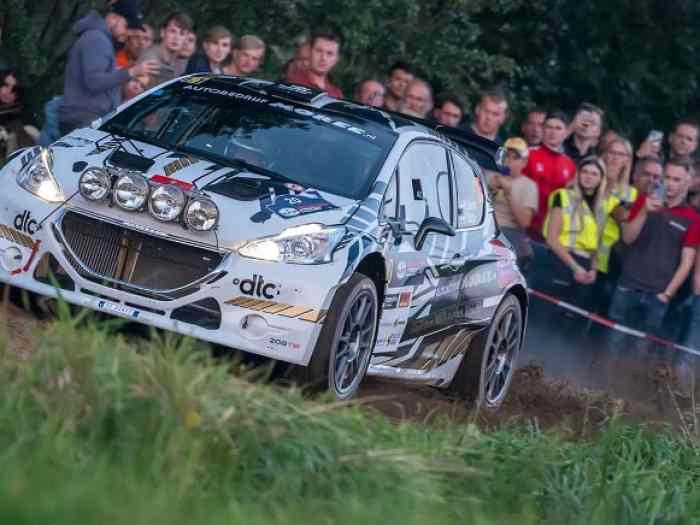 PEUGEOT 208 R5 T16 EVO RALLY2 #66