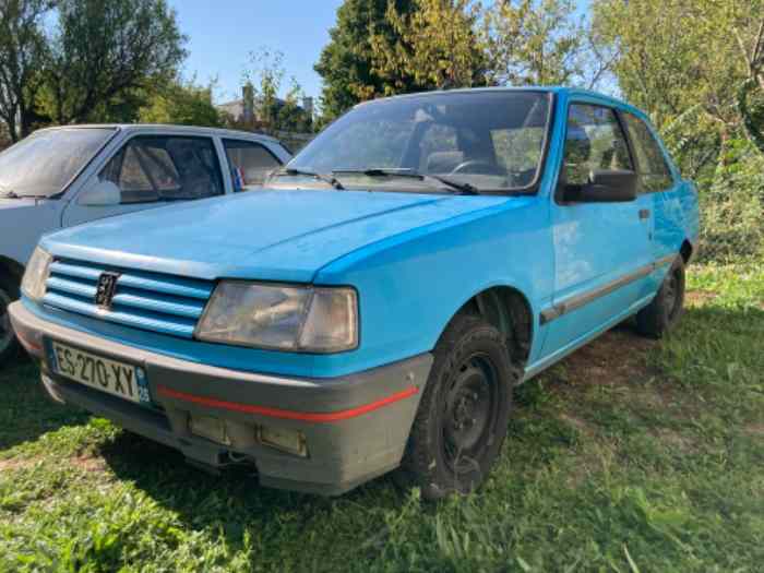 309 XAD phase 2 très saine 1