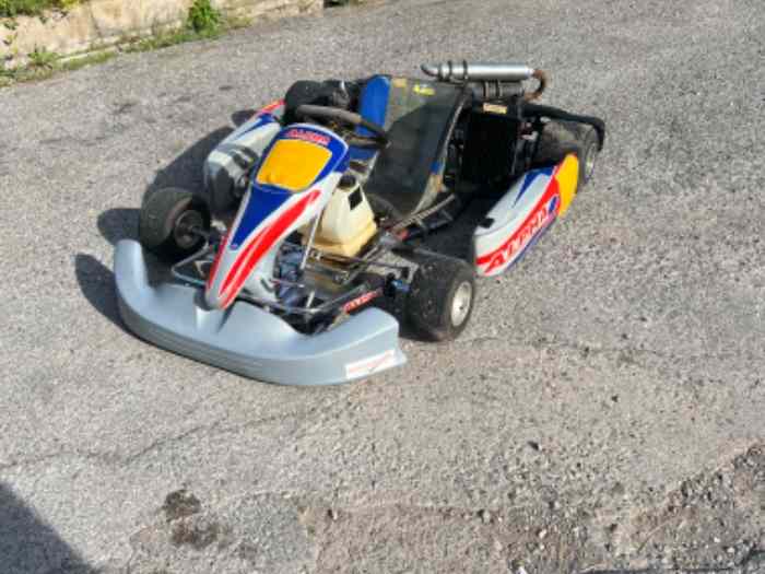 Échange Karting alpha 125 Iame léopard