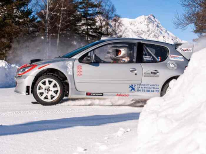 206 Vaillante. WRC IRSI 1