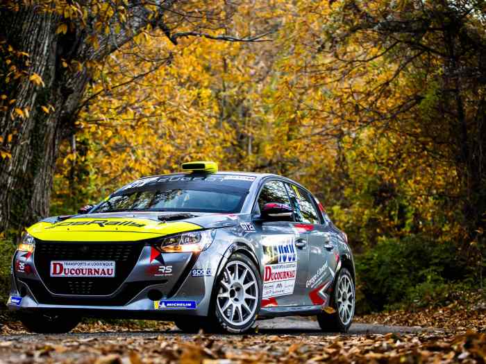 Peugeot 208 Rallye 4