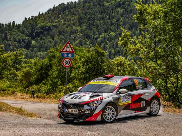 Peugeot 208R4 Body 2048