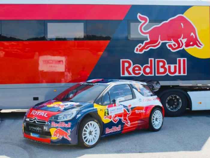 DS3 WRC Ex OGIER