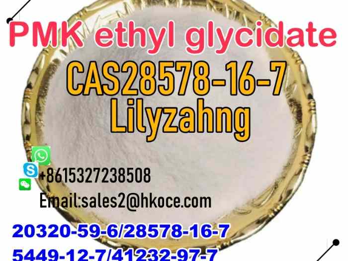 car PMK Powder Cas 28578-16-7 Overseas Warehouse