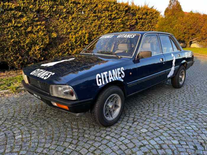 Peugeot 505 ti vhrs Montecarlo historique 5