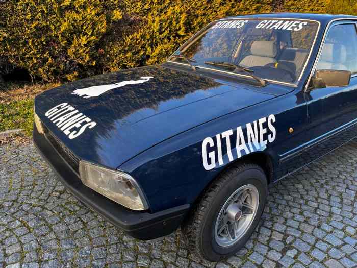 Peugeot 505 ti vhrs Montecarlo histori...