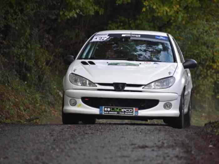 Vendue merci Mikado Peugeot 206 N2s 1