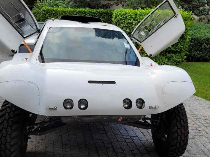 Buggy RM2 4