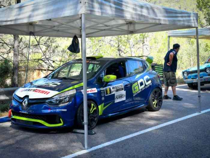 RENAULT CLIO CUP 4 Nº 250 1