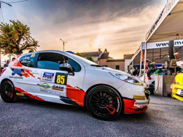 Peugeot 207 R3T