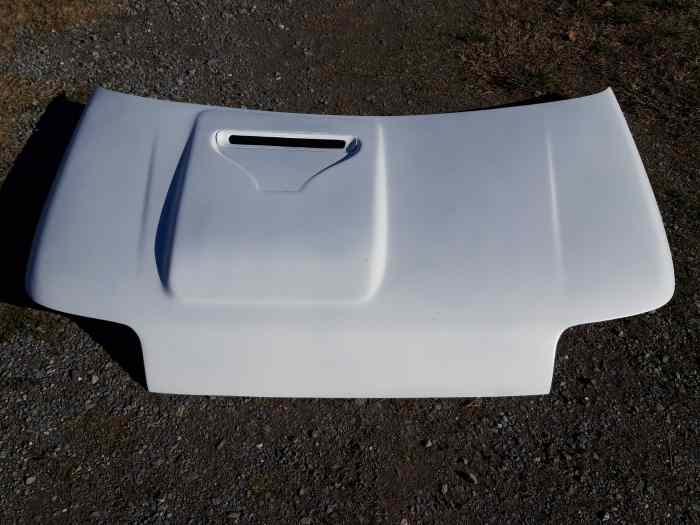 Capot Clio 16s