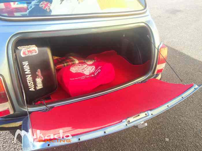 mini 1000 – photo 5 sur 6