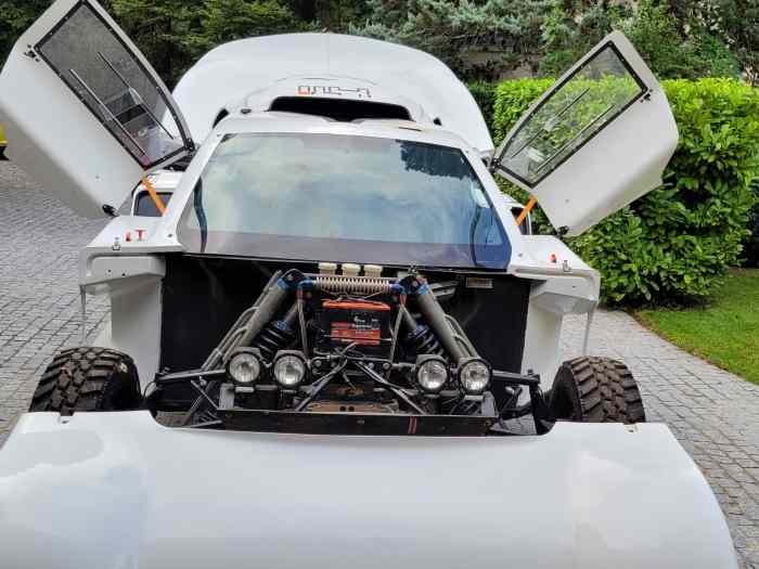 Buggy RM2