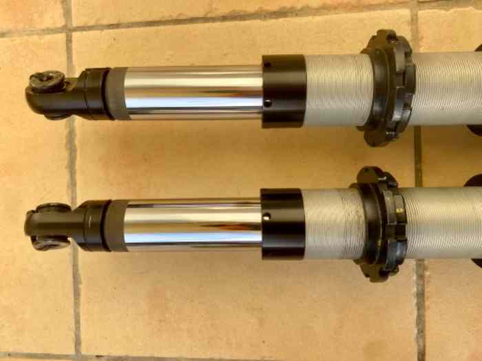 Amortisseurs Bilstein MDS 2 voies Seat Audi TCR 2