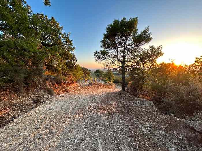 ❗️Nouvelle base d’essais Terre dans le Vaucluse❗️ 1