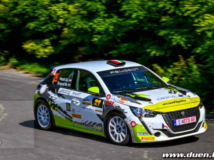 Peugeot 208 Rally4 Tarmac or Gravel