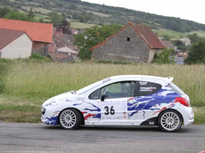 Peugeot 207 R3 Evo 4