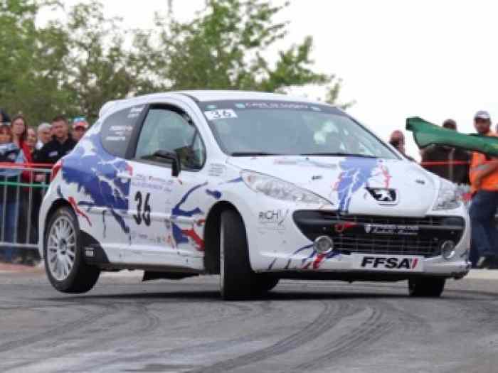 Peugeot 207 R3 Evo 0