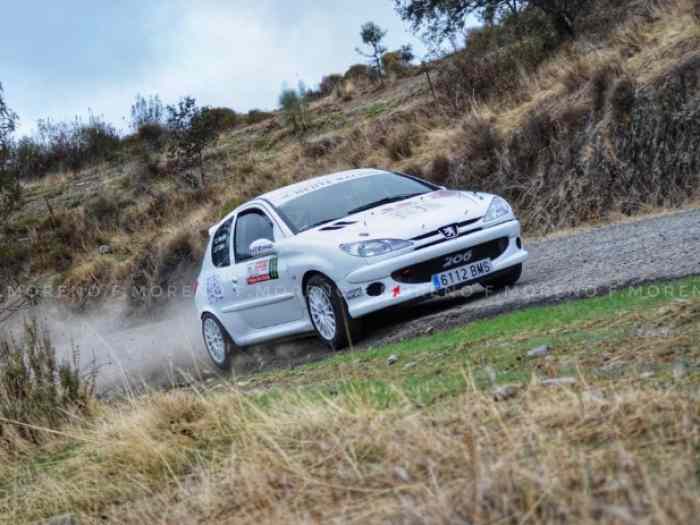 Peugeot 206 GrA 1