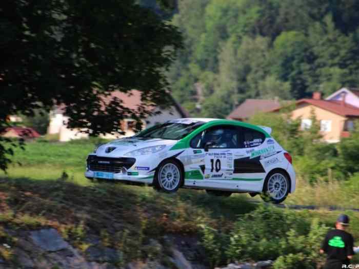 Peugeot 207 R3 Evo 2