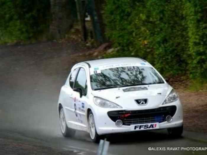 Peugeot 207 R3 Evo 3