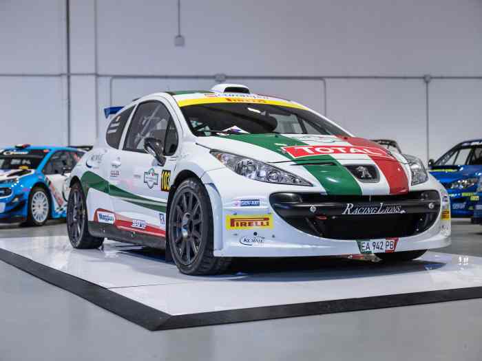 Peugeot 207 S2000 ex Andreucci #81 1